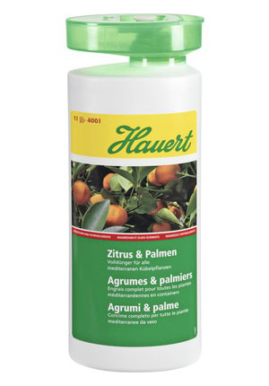 Agrumes & palmiers - 1L